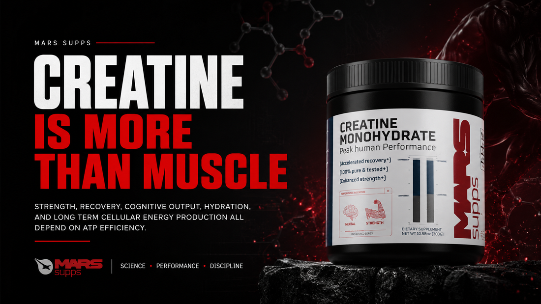 Creatine Is More Than Muscle