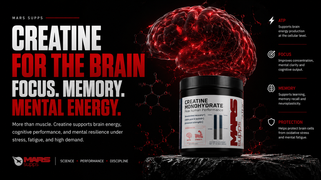 The Brain And The Energy Connection