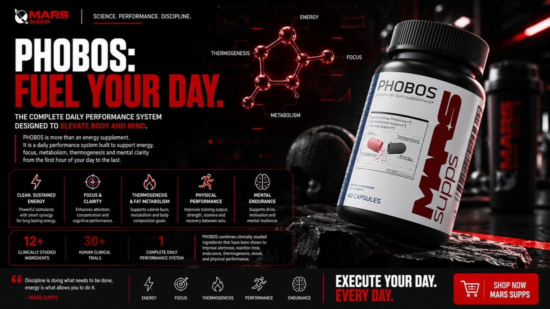 PHOBOS: Fuel Your Day